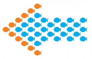 FishArrow-e1444933564399-1024x655